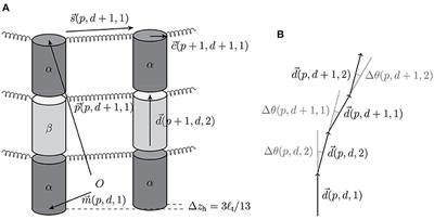 Chemomechanical Simulation of Microtubule Dynamics With Explicit Lateral Bond Dynamics